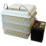 Инкубатор для яиц бытовой MJWX MC176 12/220