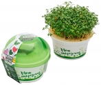 Набор для выращивания Здоровья Клад Моя Микрозелень кресс-салат